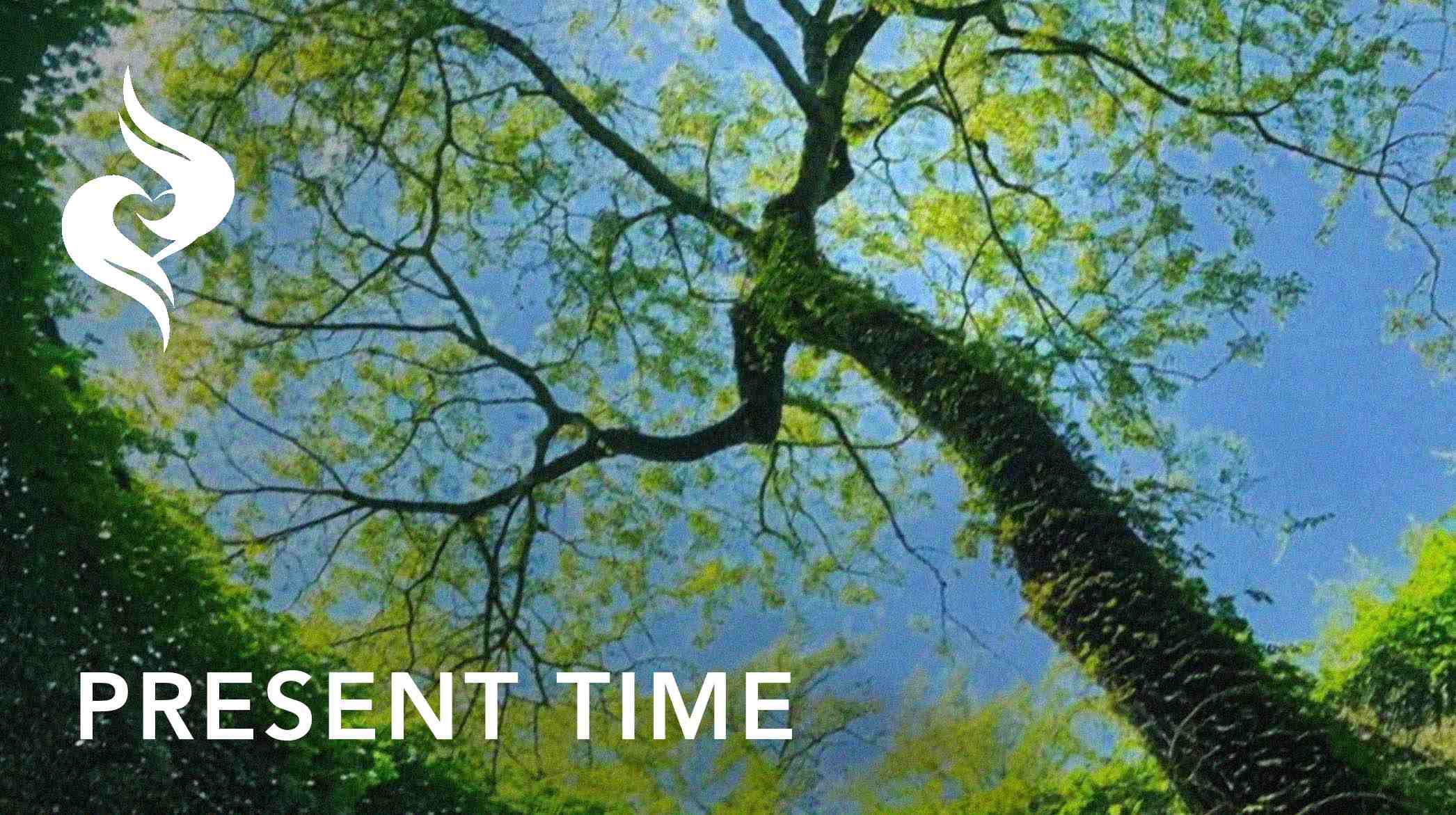 How You Can Change Your Reality